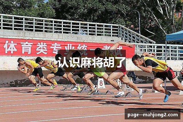 认识麻将胡了